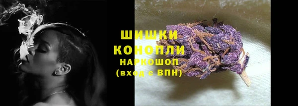 ПСИЛОЦИБИНОВЫЕ ГРИБЫ Михайловка