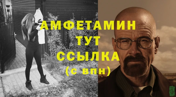 прущие грибы Надым