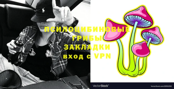прущие грибы Надым