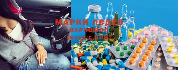 ПСИЛОЦИБИНОВЫЕ ГРИБЫ Михайловка