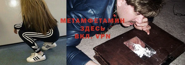 прущие грибы Надым