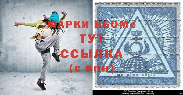 прущие грибы Надым