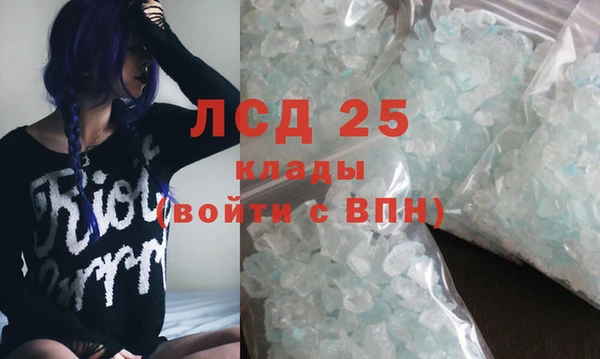 прущие грибы Надым
